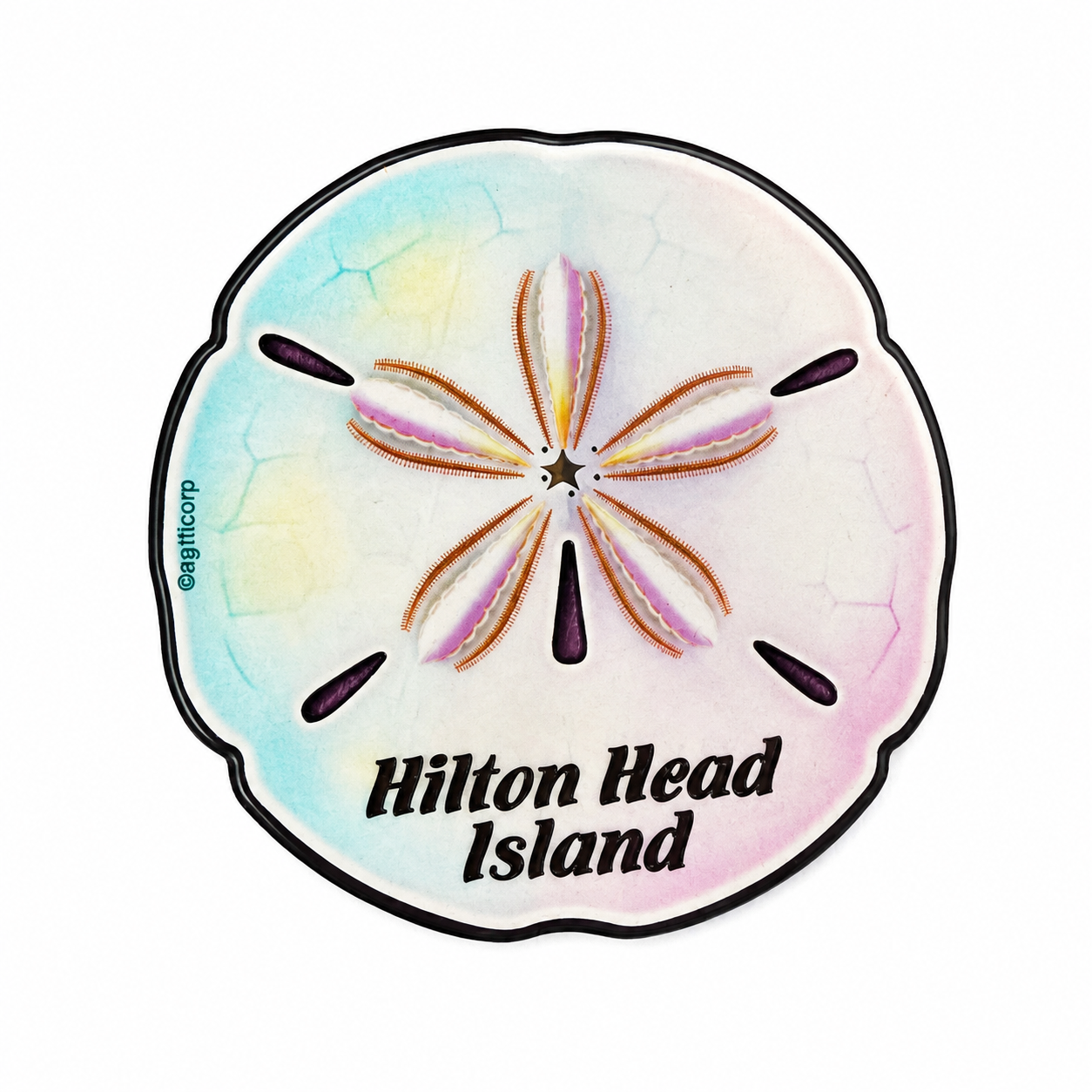Hilton Head Sand Dollar Die-Cut Magnet