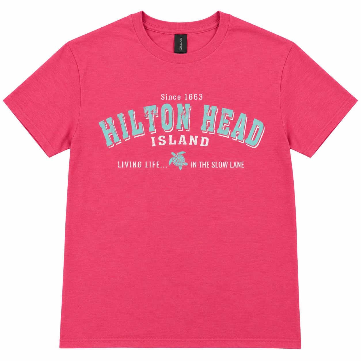 Hilton Head Vintage Arch Turtle T-Shirt