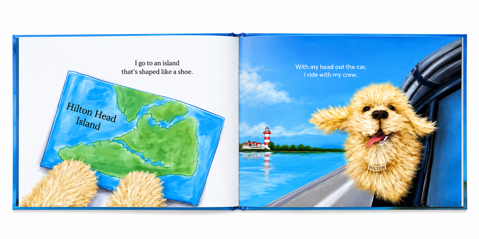 Hilton's Island Book