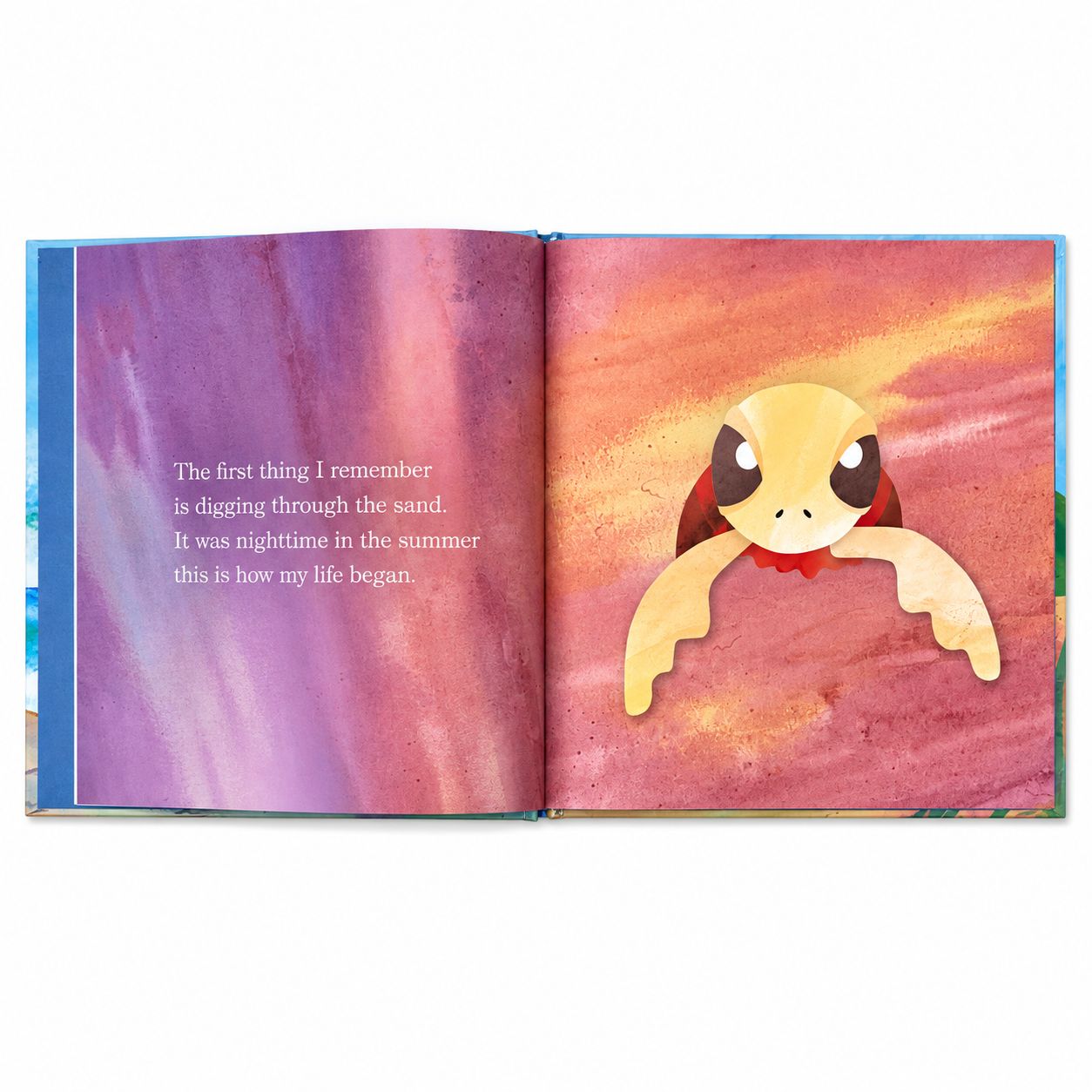 Caretta Caretta Book