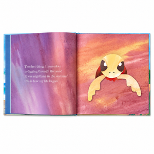 Caretta Caretta Book